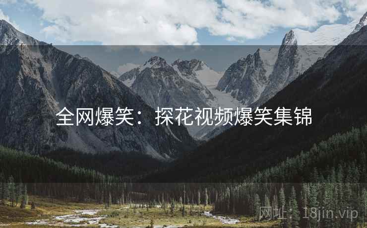 全网爆笑：探花视频爆笑集锦