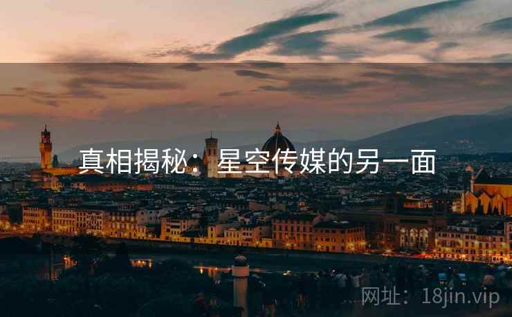 真相揭秘：星空传媒的另一面