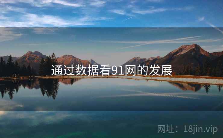 通过数据看91网的发展