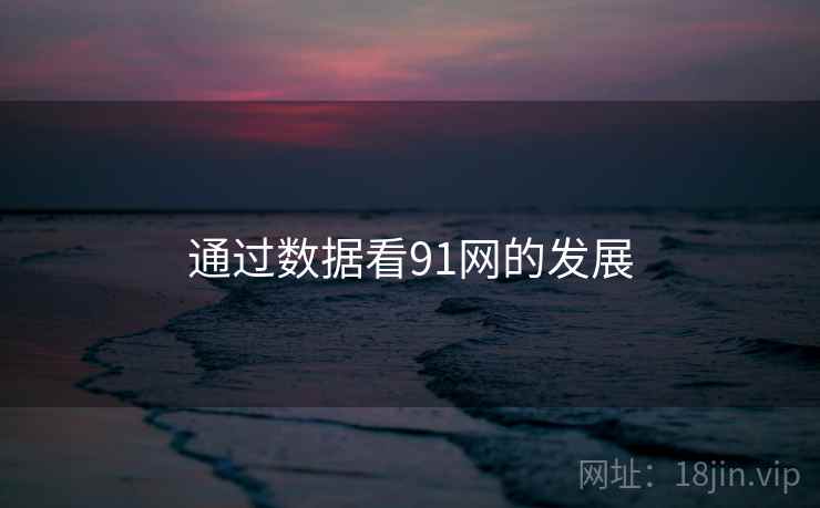 通过数据看91网的发展