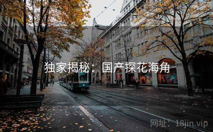 独家揭秘：国产探花海角