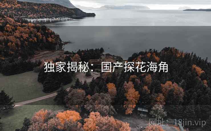 独家揭秘：国产探花海角