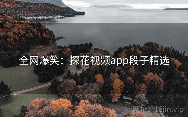 全网爆笑：探花视频app段子精选