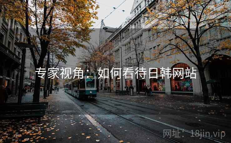 专家视角：如何看待日韩网站