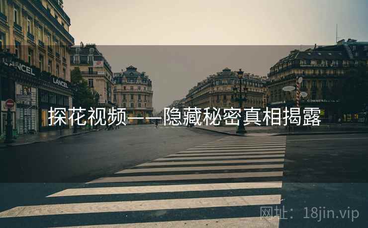探花视频——隐藏秘密真相揭露