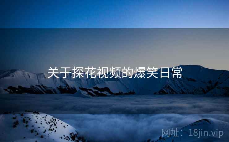 关于探花视频的爆笑日常