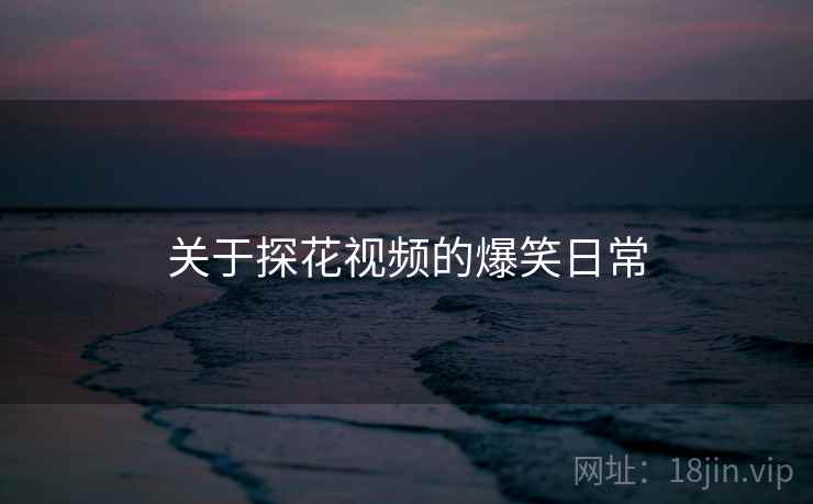 关于探花视频的爆笑日常