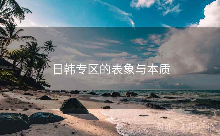 日韩专区的表象与本质
