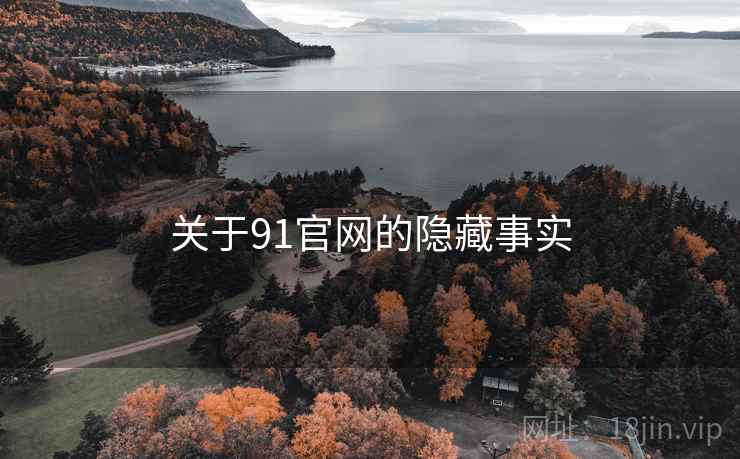 关于91官网的隐藏事实