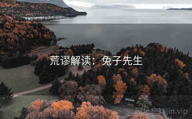 荒谬解读:兔子先生 荒谬解读:兔子先生