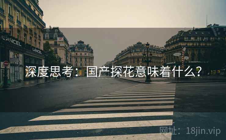 深度思考:国产探花意味着什么? 深度思考:国产探花意味着什么?