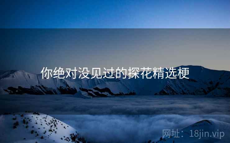 你绝对没见过的探花精选梗
