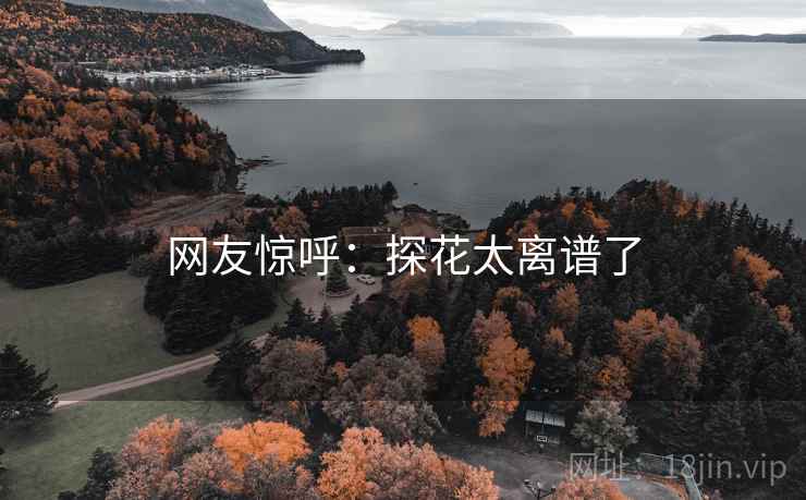 网友惊呼:探花太离谱了